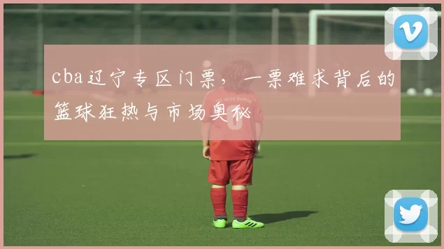 cba辽宁专区门票，一票难求背后的篮球狂热与市场奥秘