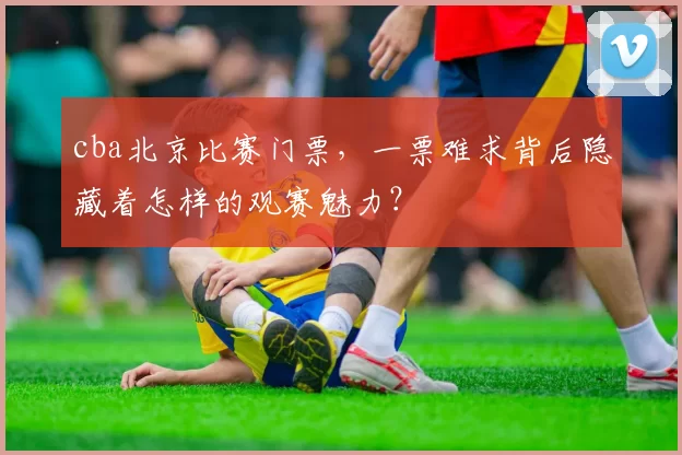 cba北京比赛门票,一票难求背后隐藏着怎样的观赛魅力?